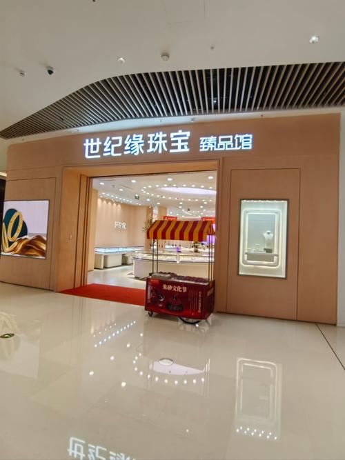珠宝独立站新手入行，现在市场前景如何？