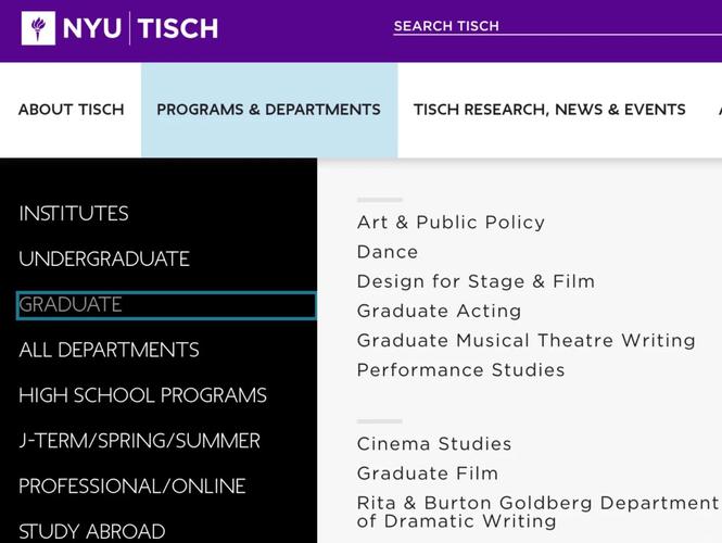 What advanced security features does the Ring offer for enhanced protection?