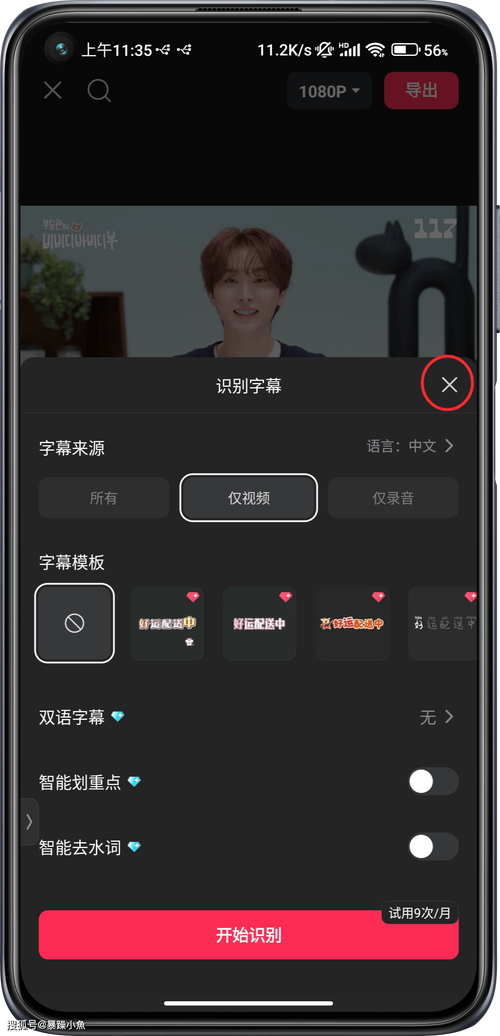如何高效采集YouTube视频字幕进行关键词搜索？