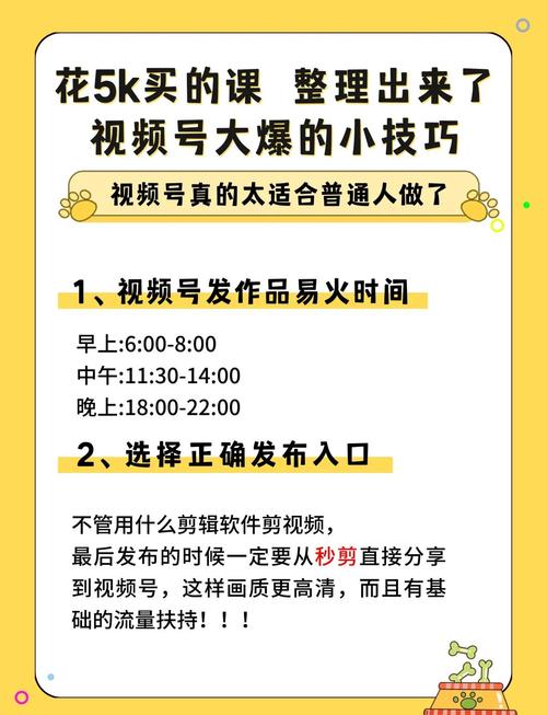 如何抓住视频号抢赚第一波红利的最佳时机？