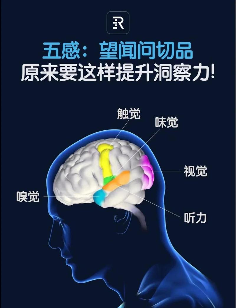 如何通过洞察竞对，有效汲取其智慧以提升自身竞争力？
