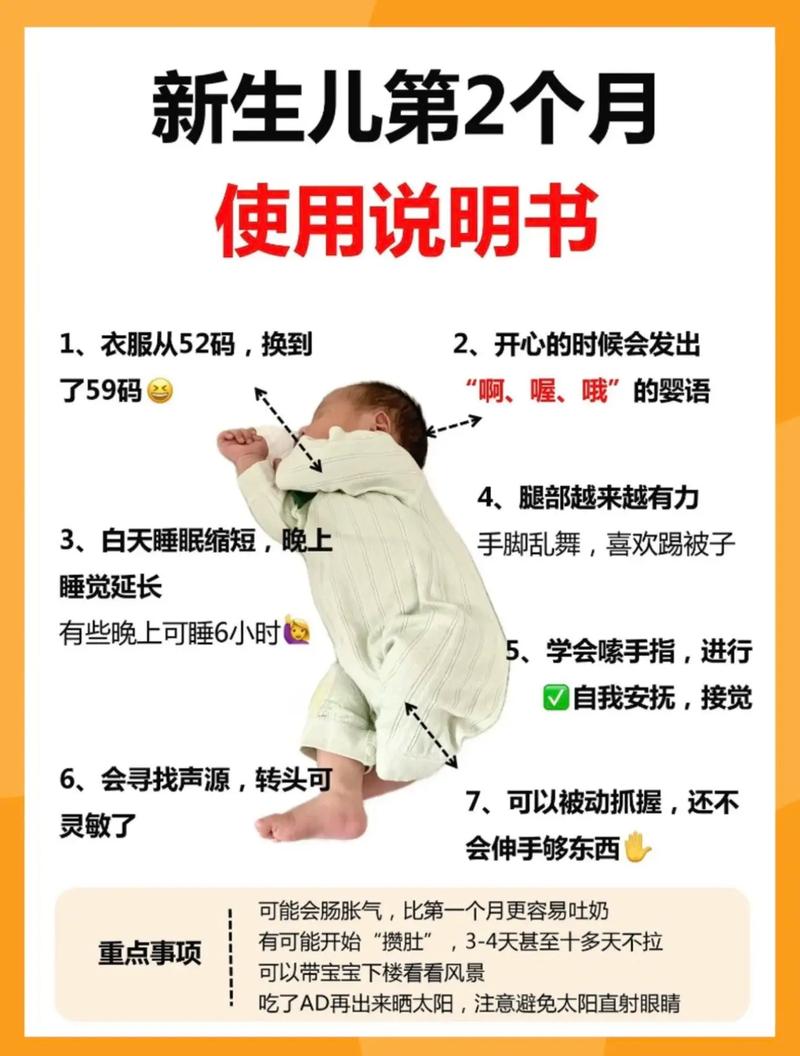 Jackson的介绍与使用方法详解是怎样的？