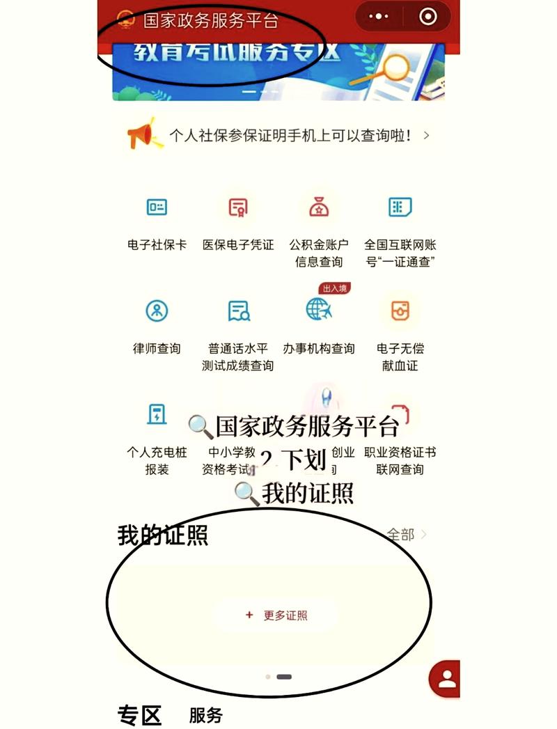 我的证书信息为何在数据库查询时总是显示无结果？