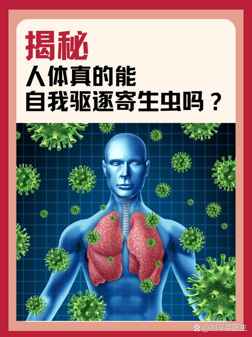 百度寄生虫广告幕后制作是怎样的？揭秘其全流程！