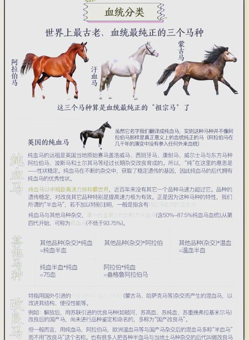 数据库中马具体指哪类动物或信息？