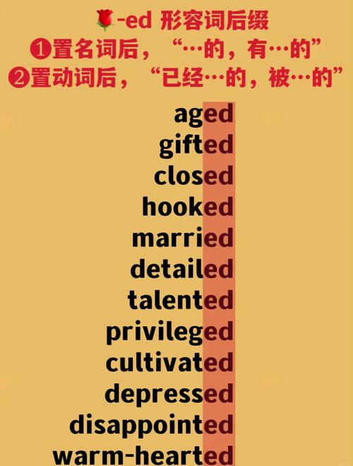 独立站ED指的是什么？这是新手入门阶段必须了解的关键概念吗？