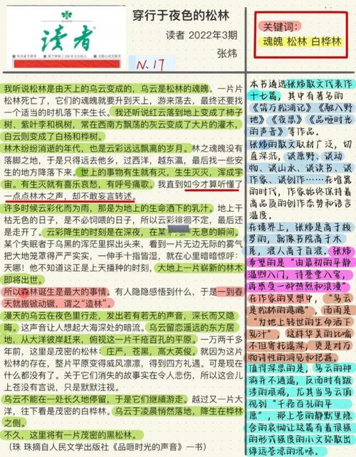 后端文章合集有哪些值得关注的细节？