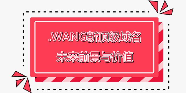 wang域名投资价值如何？揭秘其未来潜力与收益前景？