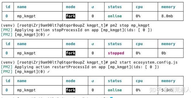 如何详细解读pm2发布时使用的ecosystem.json配置文件？