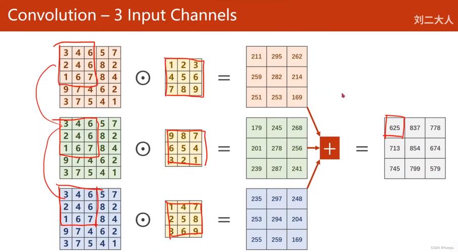 一维卷积在处理数字信号中扮演什么关键角色？
