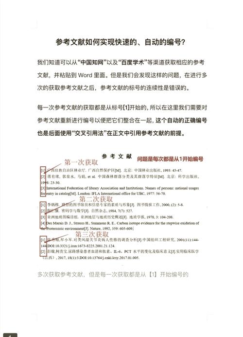 Pandoc编号列表在自定义编写器中如何处理长尾词疑问？