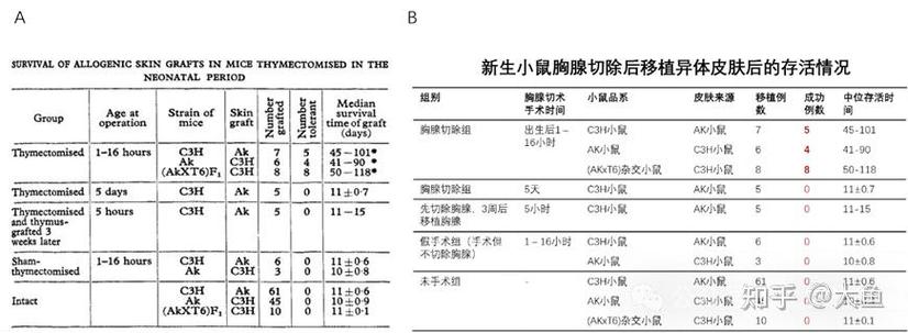 filopt_t结构体是什么？能否详细介绍一下？