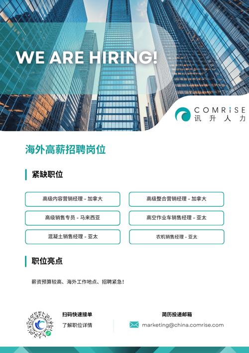 有哪些海外职位招聘需求适合我这样的背景和能力？