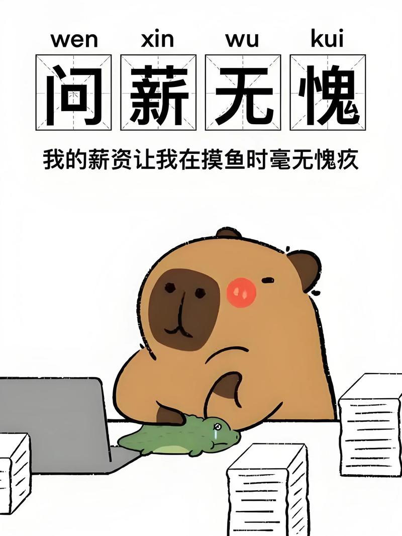 HR 谈薪资时嘲讽我，难道我注定只能当程序员吗？
