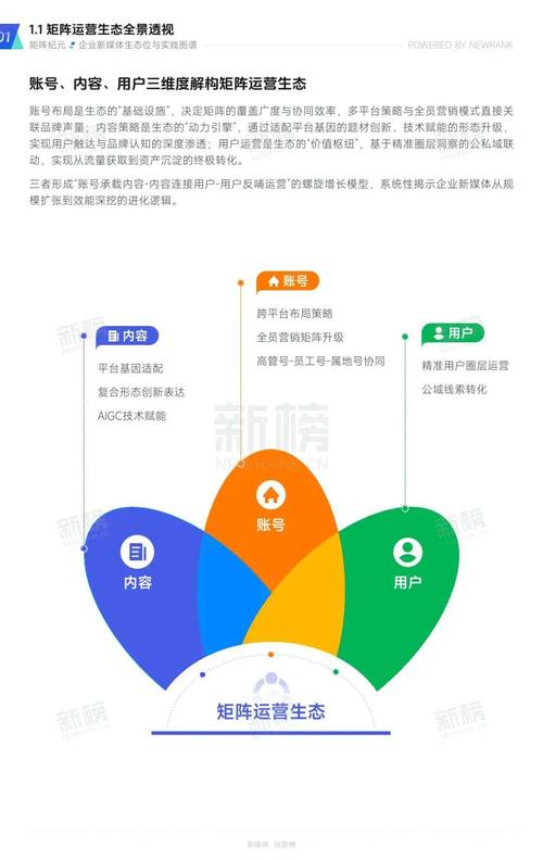 新周刊矩阵如何洞察行业新风向，把握无限机遇？