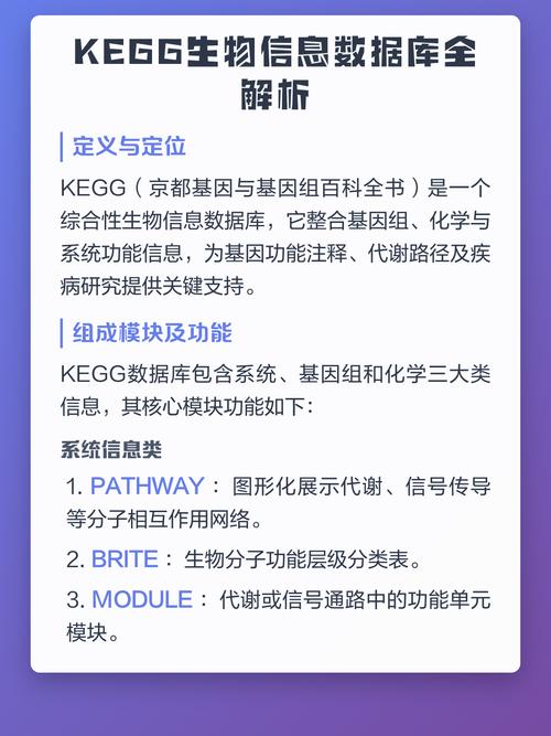 KEGG数据库中CG具体代表什么基因或分子功能？
