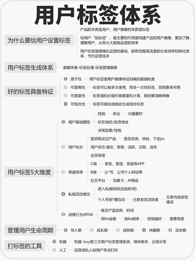 网站过度优化背后的标签深度分析揭示了什么成因？