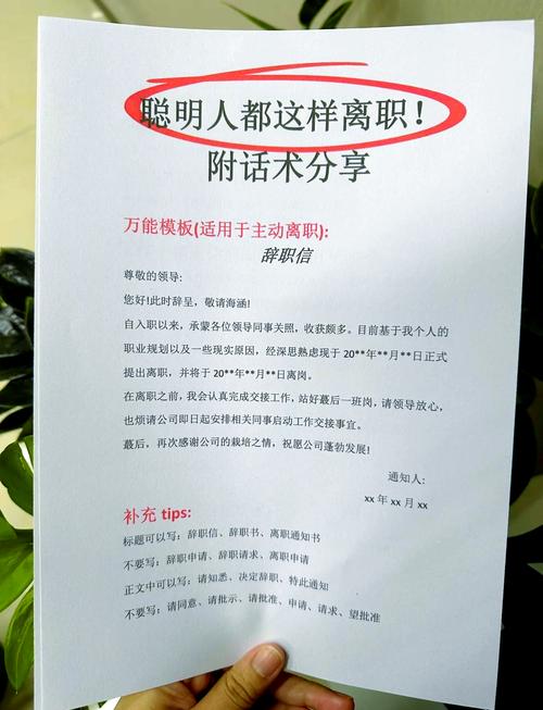 35岁加入创业公司4个月后离职，有哪些经验是你们希望早点知道的？