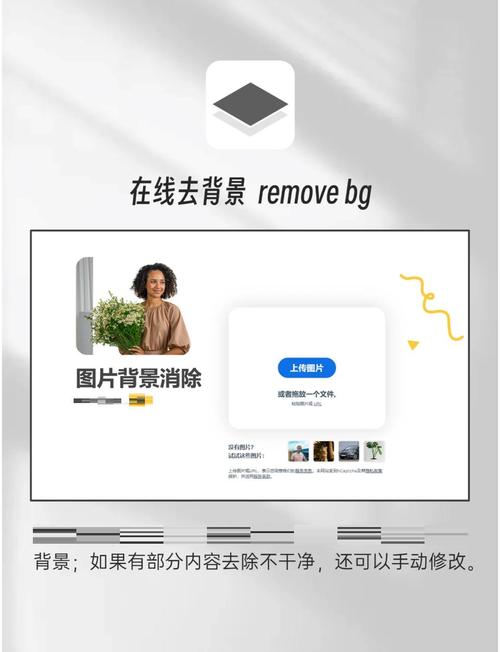 有哪些图片处理软件支持无损画质编辑？
