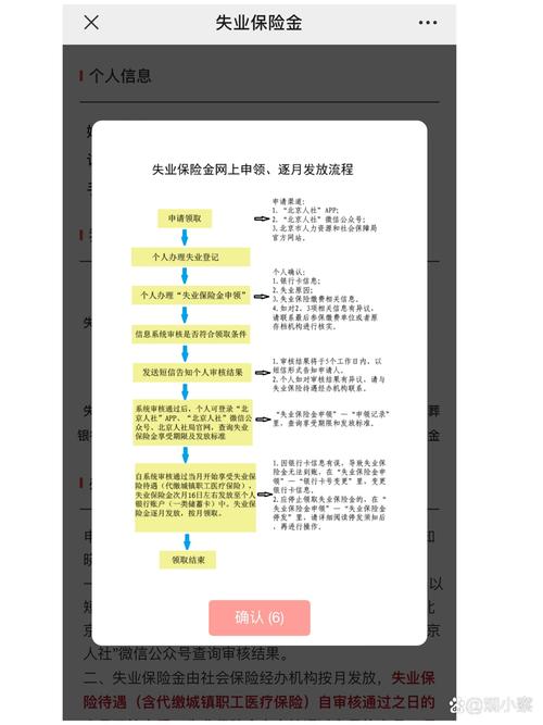 如何获取最详尽教程的完整介绍？