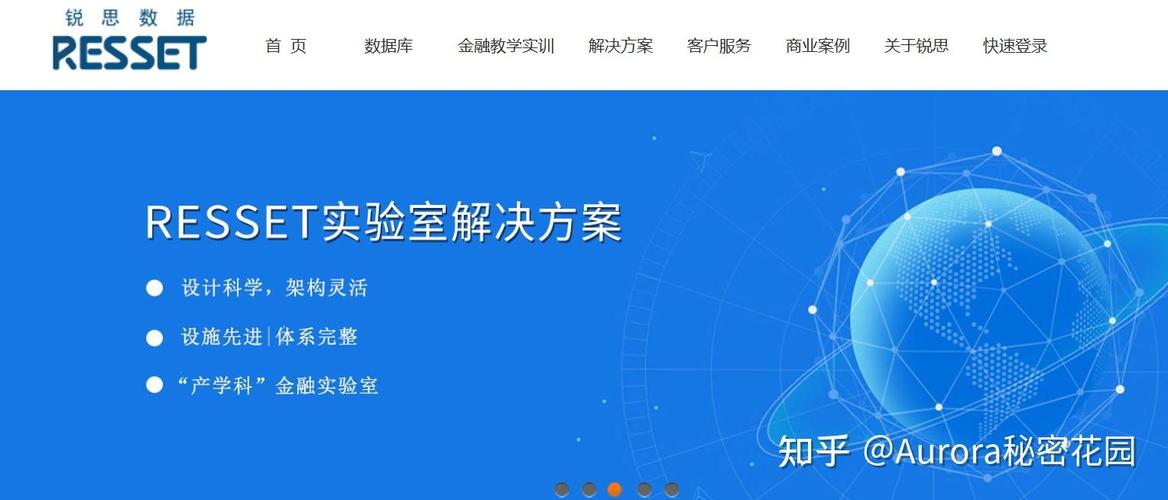 锐思数据库公司究竟叫什么名字？