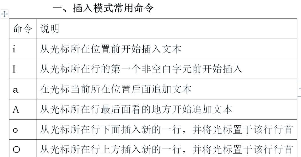如何高效使用vi编辑器的长尾词操作技巧？