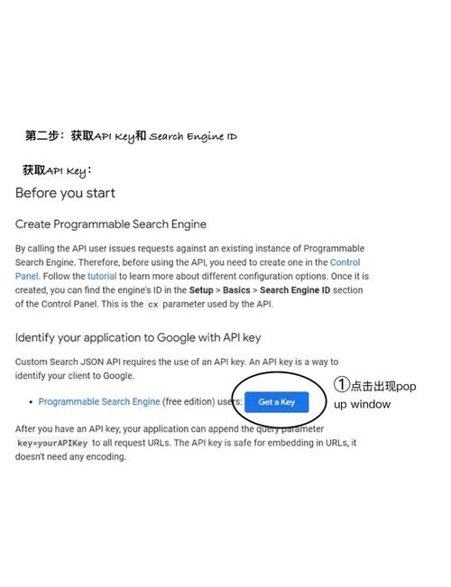 如何在Delphi应用程序中免费集成谷歌地图API？