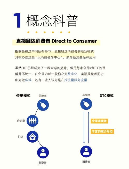 跨境电商，独立站(DTC)与平台(Amazon)对决，哪个ROI更高，决策者该如何选择？