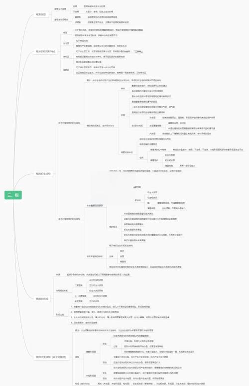 什么是构成HTML文档核心的根节点元素？