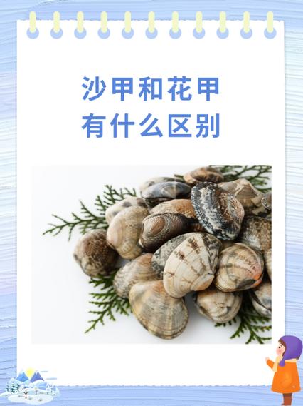 甲类项目和甲类究竟有何本质差异？