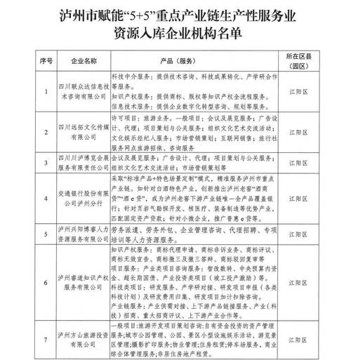 泸州有哪些专业网站建设公司排名靠前，其最佳实践与发展趋势是怎样的？
