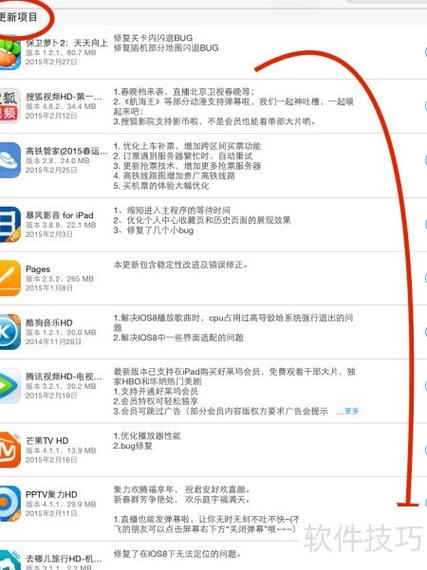 如何通过Debian轻松管理AppImage更新，确保应用始终保持最新状态？