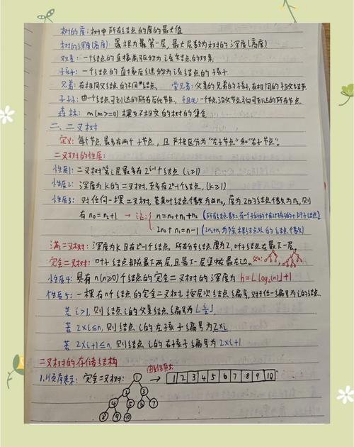 数据结构初学者，第一天学习内容有哪些？
