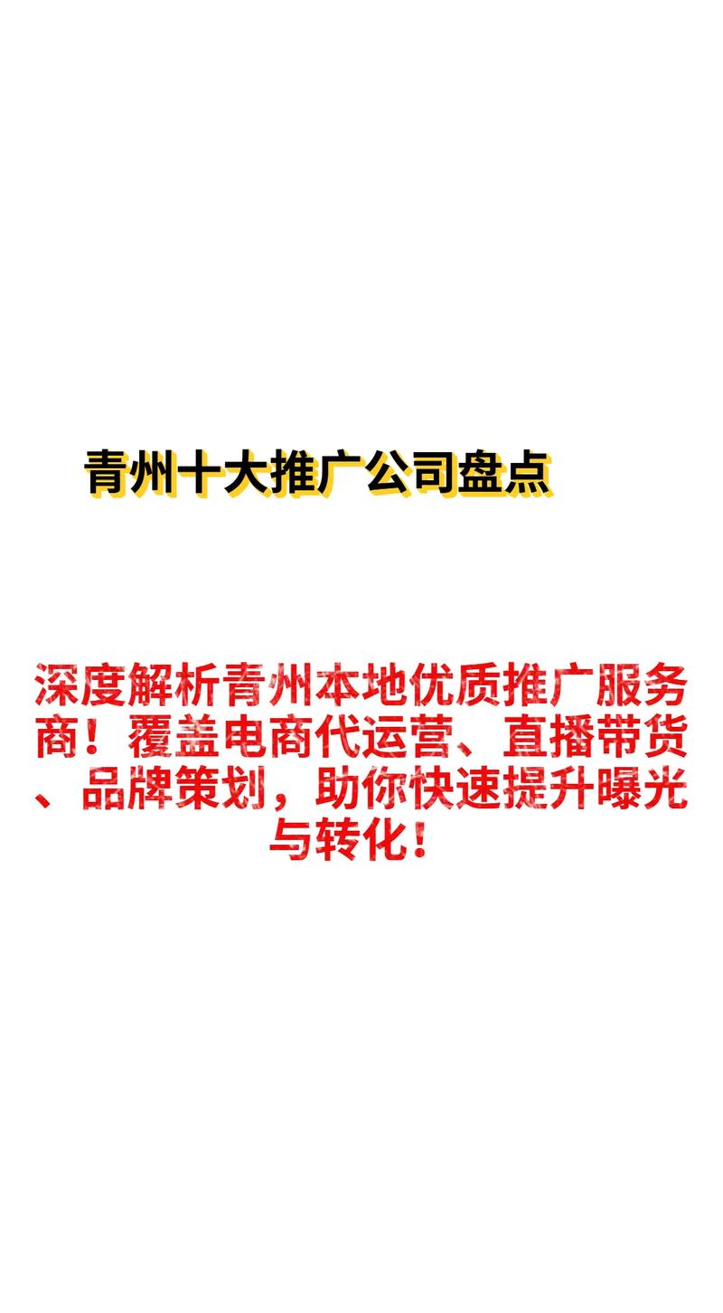 青州SEO/网站制作，哪家性价比更高呢？