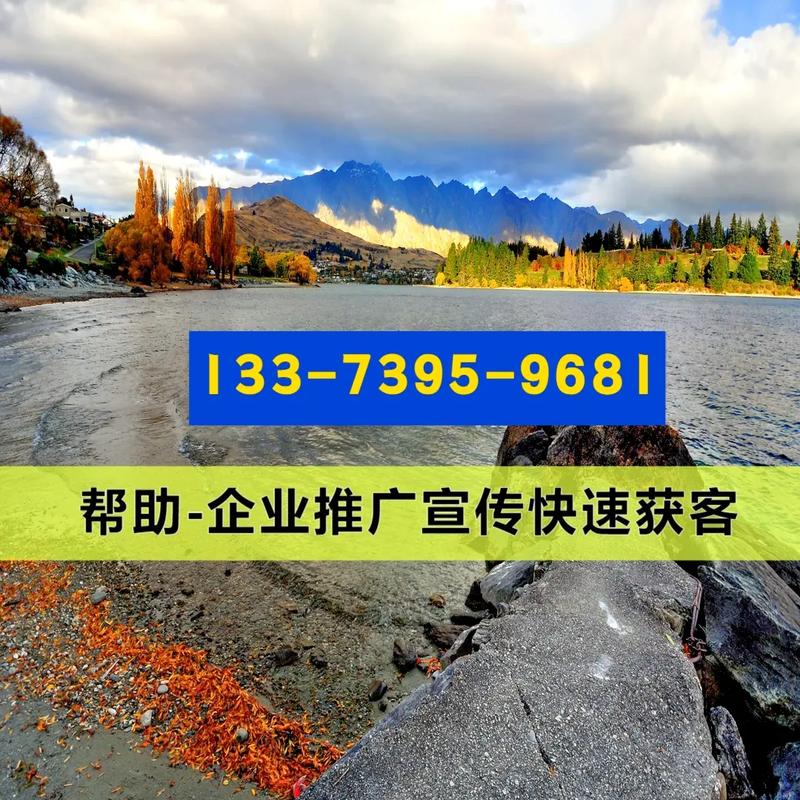 平顶山SEO专家，有没有推荐的网站建设服务呢？