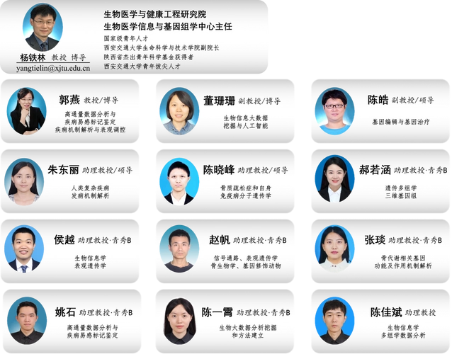 武汉SEO专家团队有哪些成员？