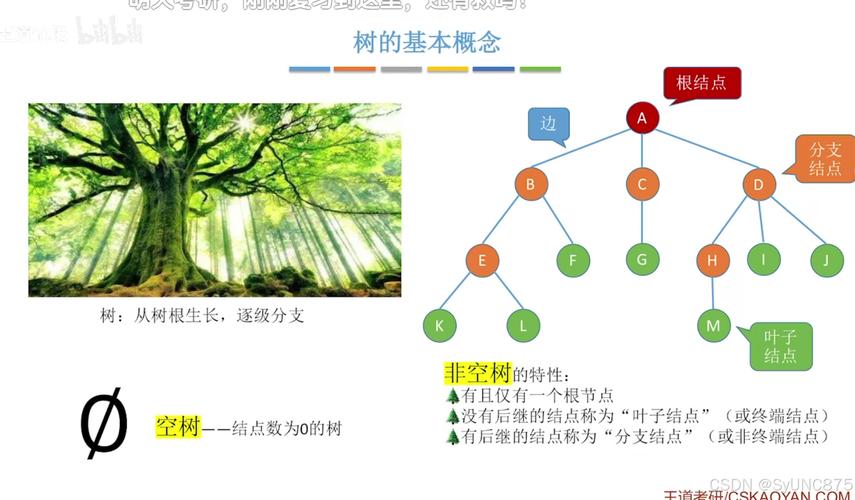 表达式树缓存性能对比：五种方法优劣分析？