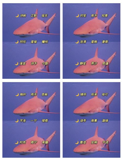 请问您有非空白字符吗？请展示至少一个。