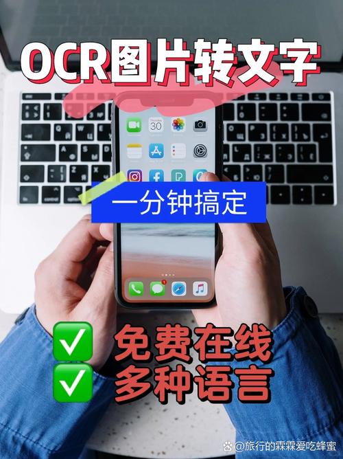 如何轻松提取网页图片，掌握一招高效技巧？