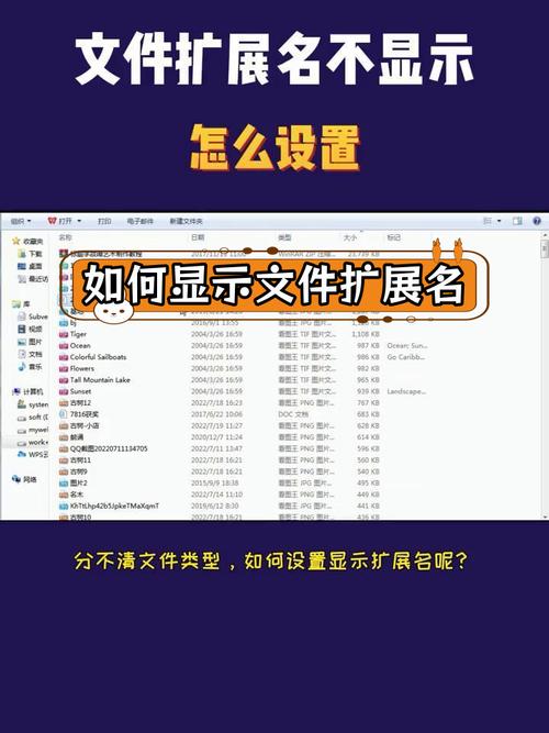 VF数据库文件的
名是什么？如何正确识别和转换？