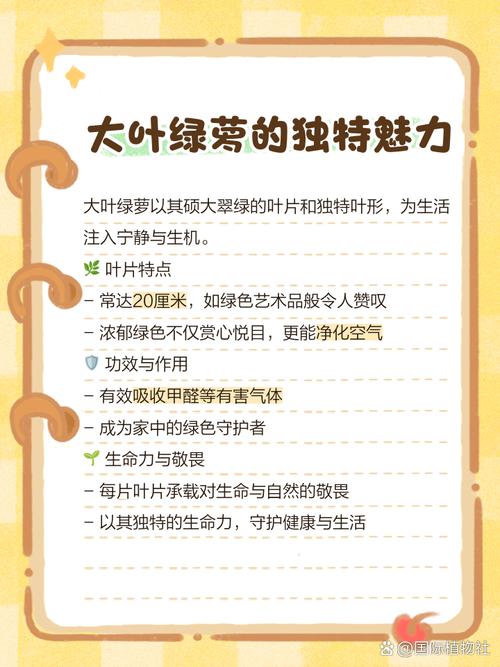 绿萝算法能否彻底封杀软文，还网络一片清朗？
