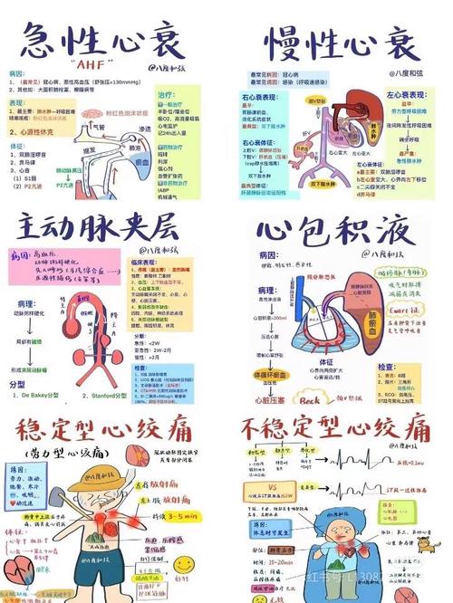 竟然有一半的人分不清for循环和foreach循环的细微差别，这是怎么回事呢？