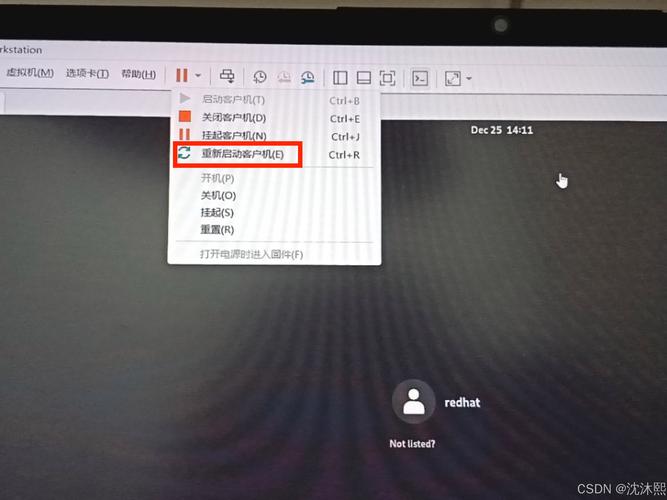 为何重置MySQL root密码后操作仍无效？