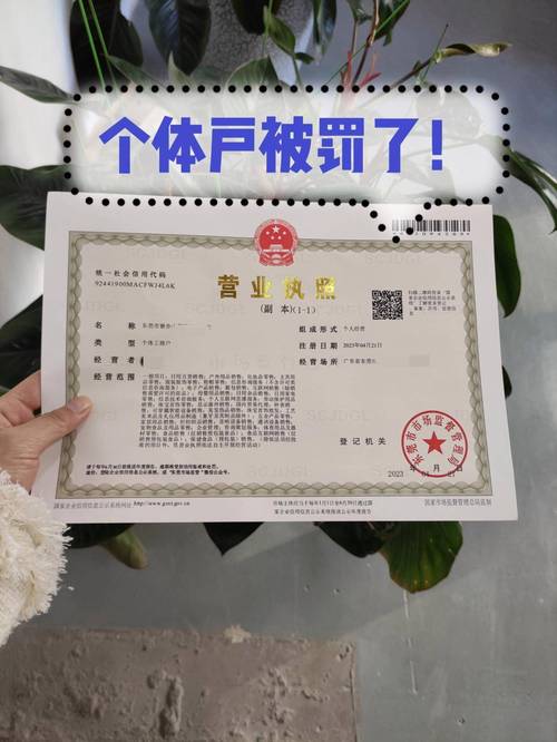 营业执照项目数量多与少，对企业经营规模和风险有何显著差异？