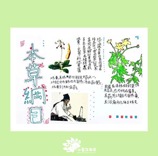 如何用Python编写《本草纲目女孩》的520版本？