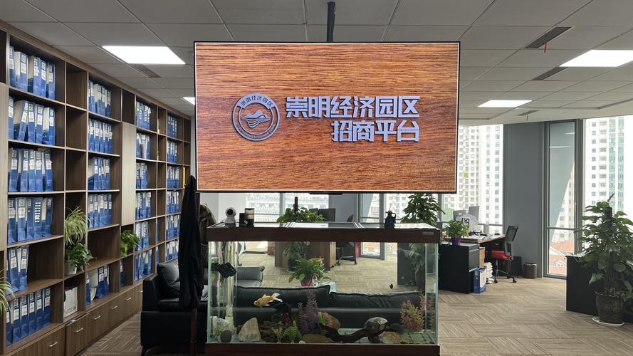 桐城SEO领域哪家强，哪家服务更翘楚？