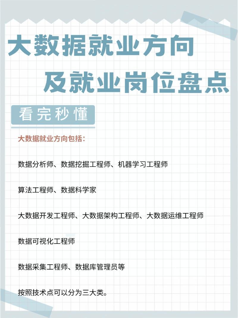 大三数据库管理员在职场中具体能发挥哪些独特作用？