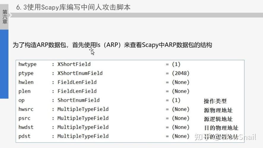 如何运用Scapy模块在Python中实现详尽的ARP网络扫描操作？