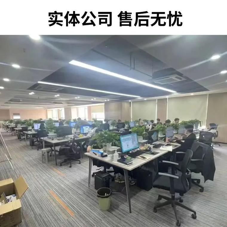 连云港SEO专家，你们能帮我定制一个专业的网站吗？