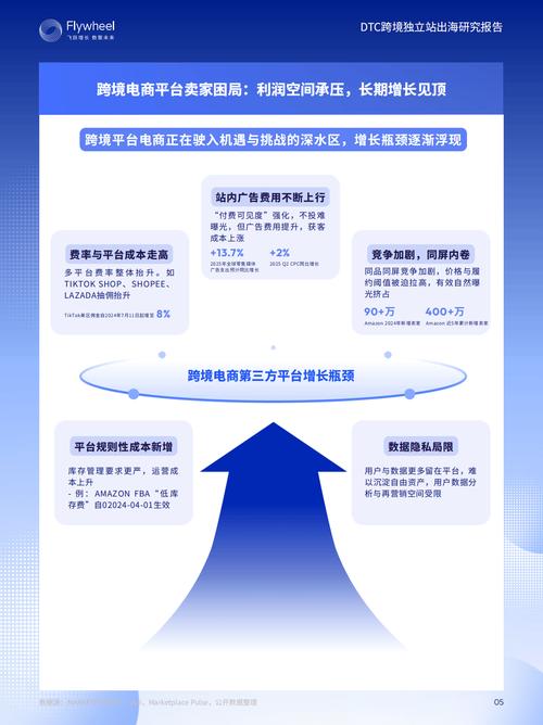 跨境电商新风口下商家如何借助DTC浪潮在独立站领域实现品牌突破？